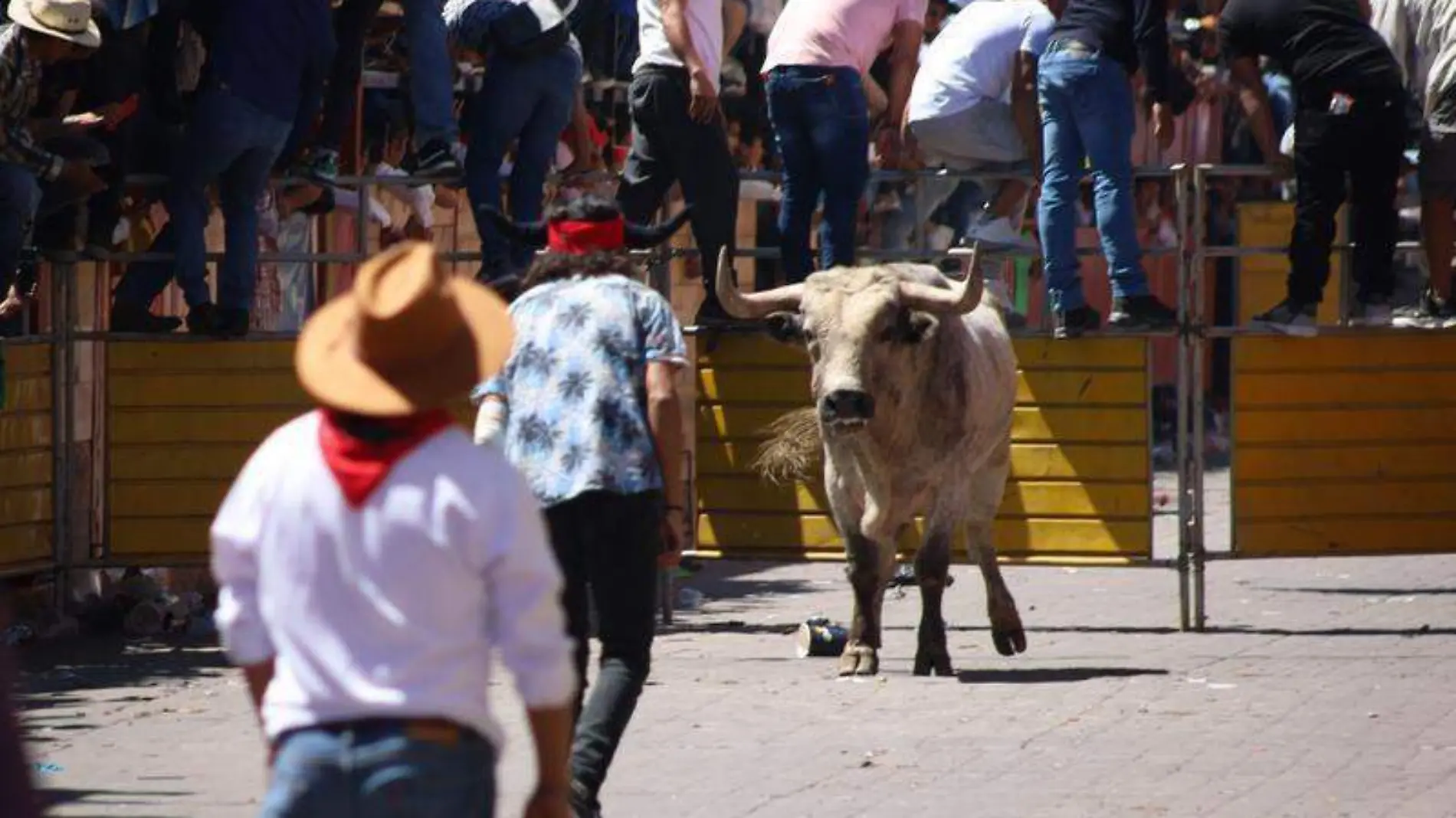 toro huamantla 2024 2